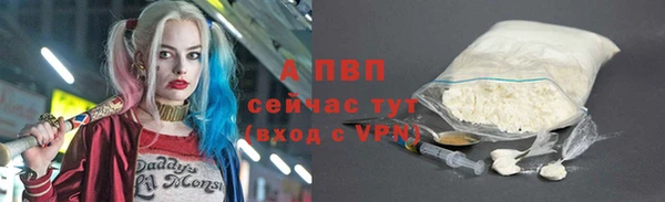 гашик Алексеевка
