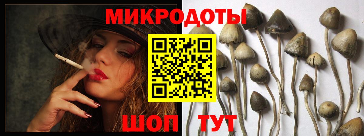 Галлюциногенные грибы ЛСД Карачаевск