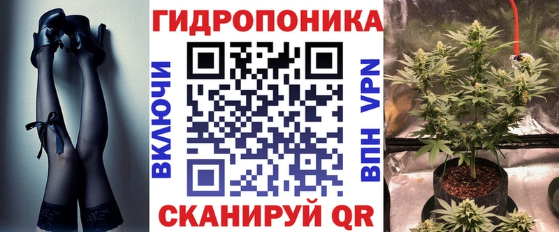 ОМГ ОМГ маркетплейс  Карачаевск  Марихуана план 