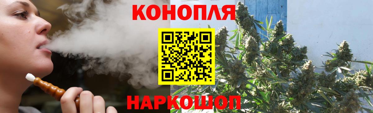 Бошки марихуана тримм  Каннабис план  Вход с VPN  Марихуана планчик  Шишки марихуана марихуана  Карачаевск 